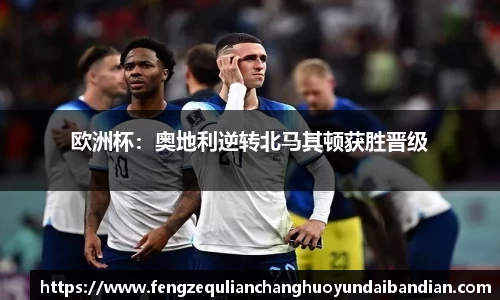 欧洲杯：奥地利逆转北马其顿获胜晋级